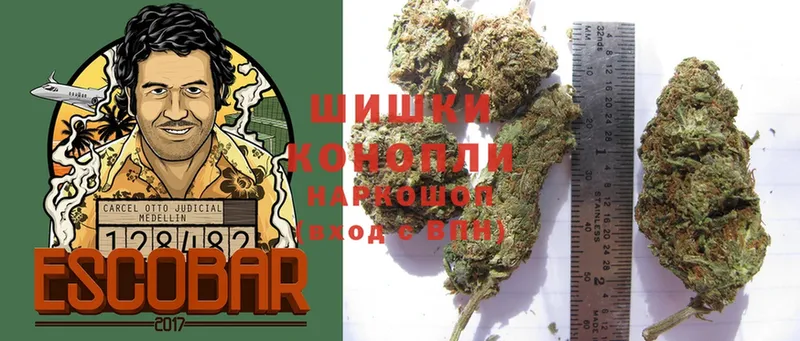 наркошоп  Менделеевск  hydra как зайти  Шишки марихуана Ganja 